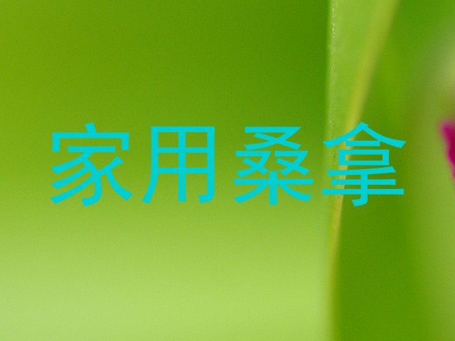 家用桑拿