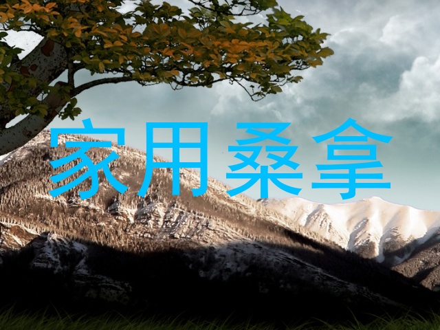 家用桑拿