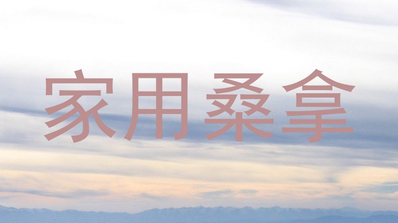 家用桑拿