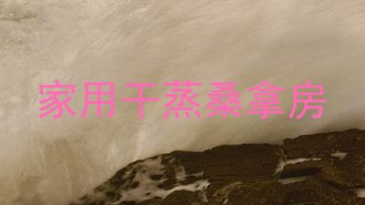 家用干蒸桑拿房