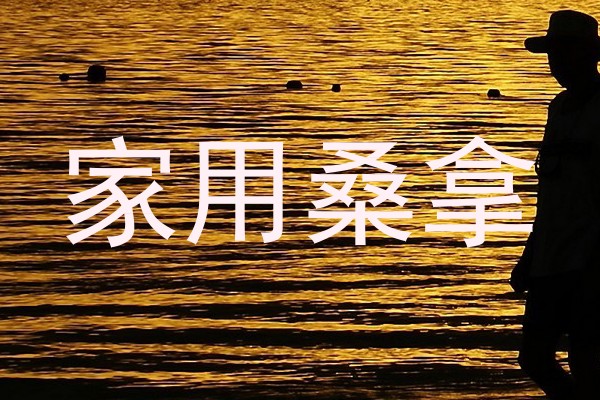 家用桑拿