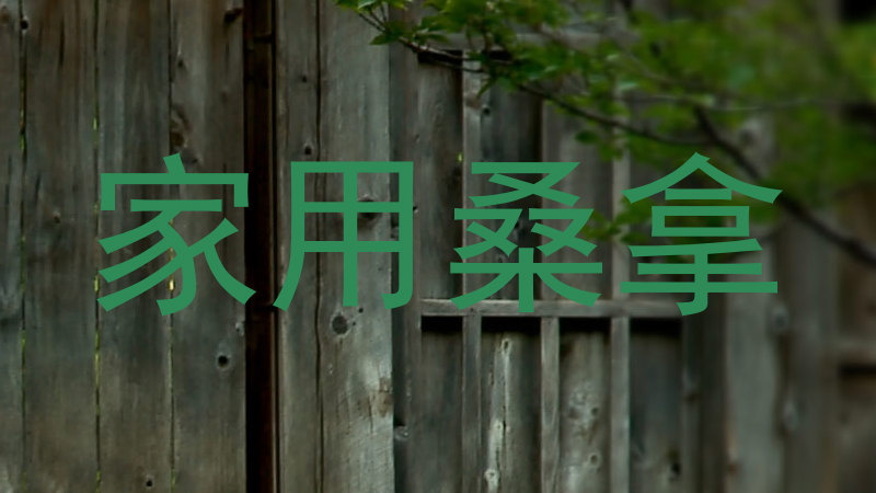 家用桑拿