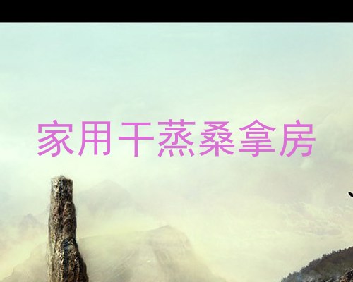 家用干蒸桑拿房