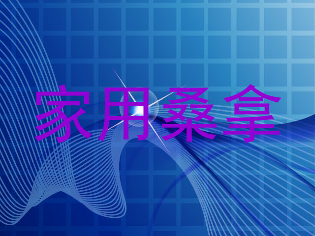 家用桑拿