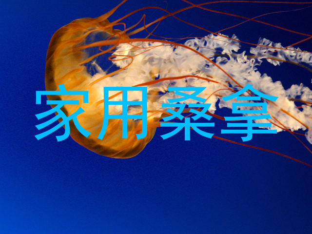 家用桑拿