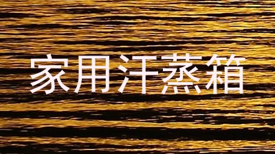 家用汗蒸箱