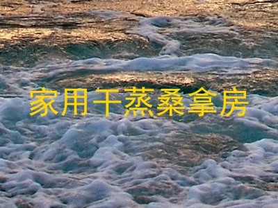 家用干蒸桑拿房