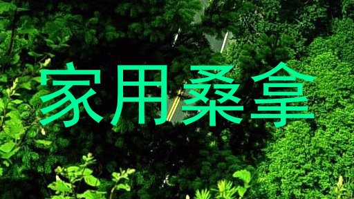 家用桑拿