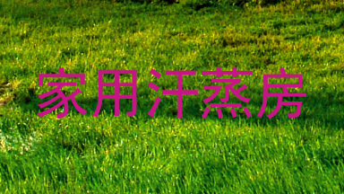家用汗蒸房
