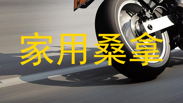 家用桑拿