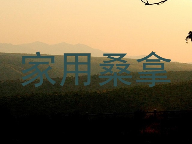 家用桑拿