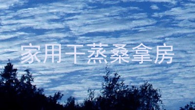 家用干蒸桑拿房