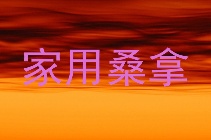 家用桑拿
