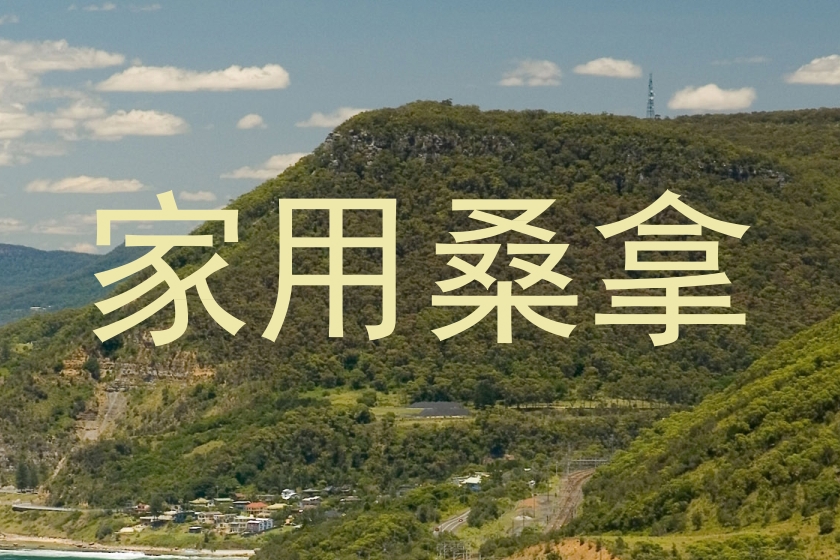 家用桑拿