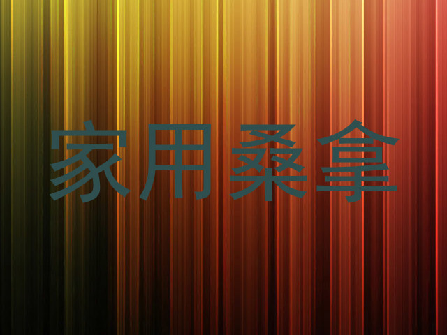 家用桑拿