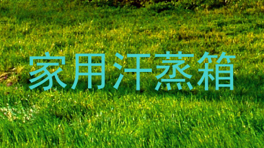 家用汗蒸箱