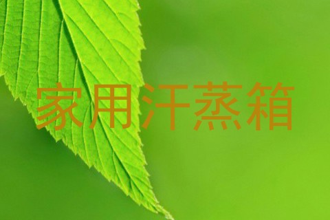 家用汗蒸箱