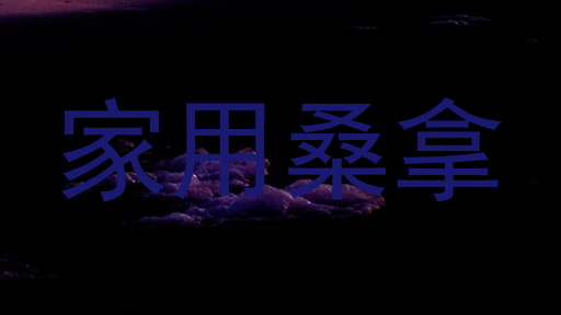家用桑拿