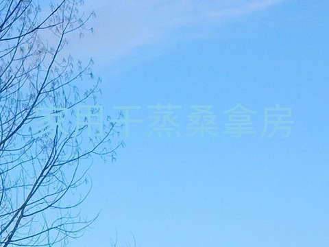 家用干蒸桑拿房