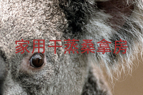 家用干蒸桑拿房