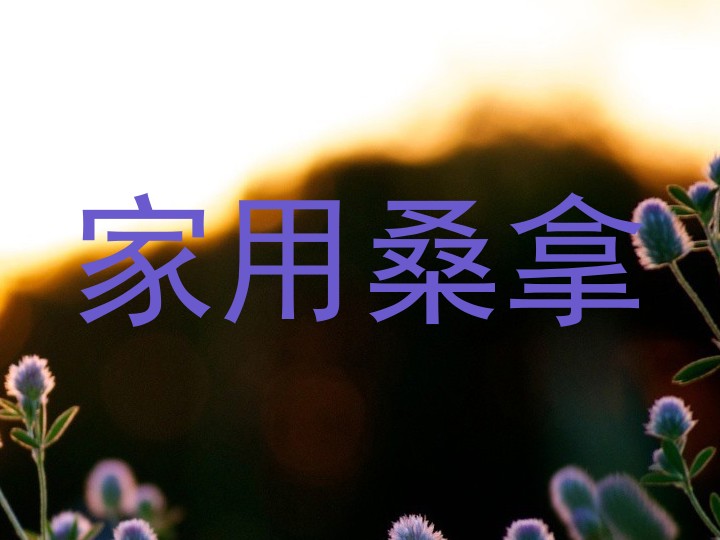家用桑拿