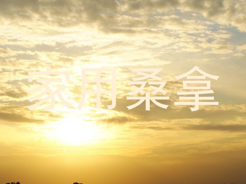 家用桑拿