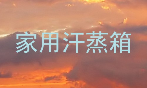 家用汗蒸箱