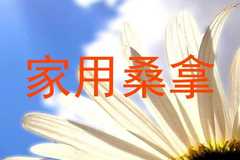 家用桑拿