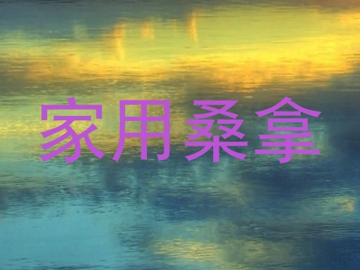 家用桑拿