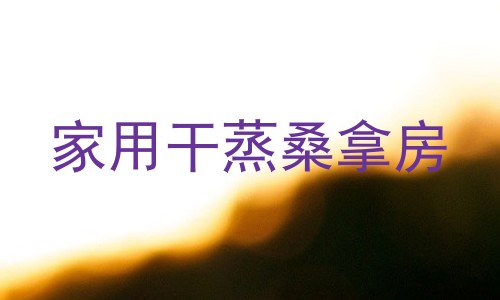 家用干蒸桑拿房