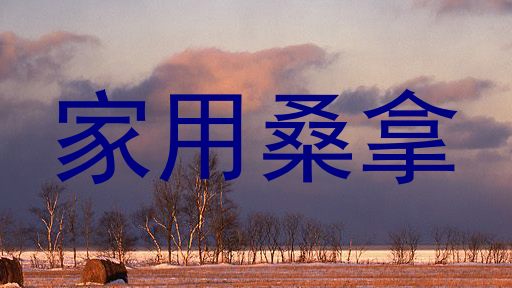家用桑拿