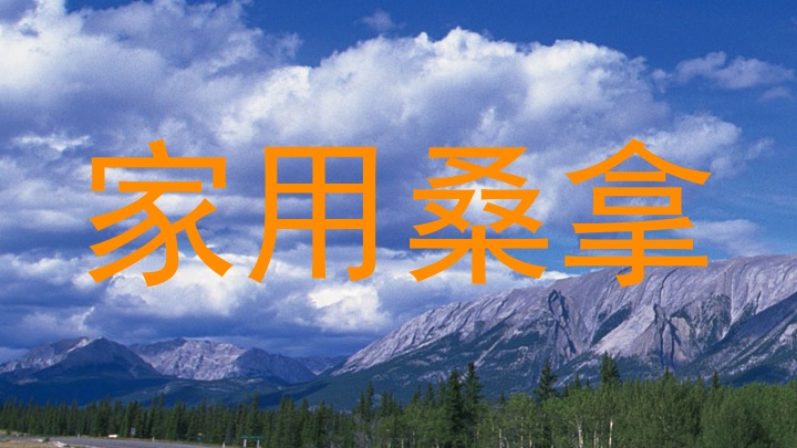家用桑拿