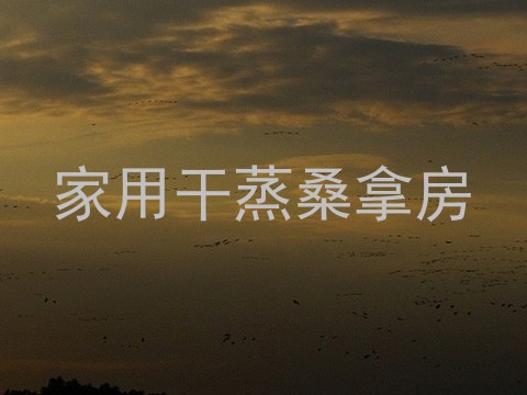 家用干蒸桑拿房