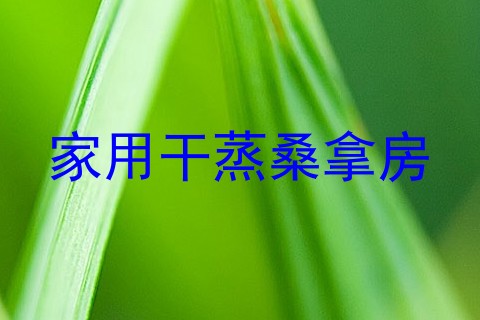 家用干蒸桑拿房
