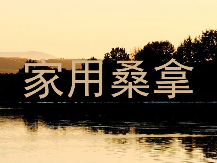 家用桑拿