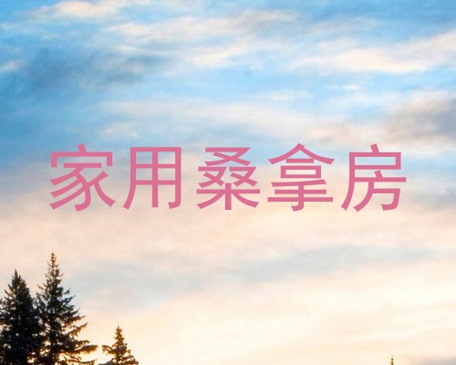 家用桑拿房