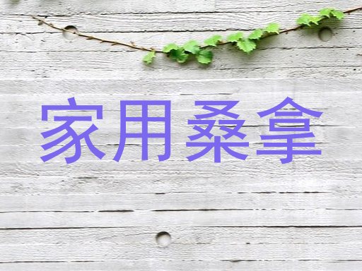 家用桑拿