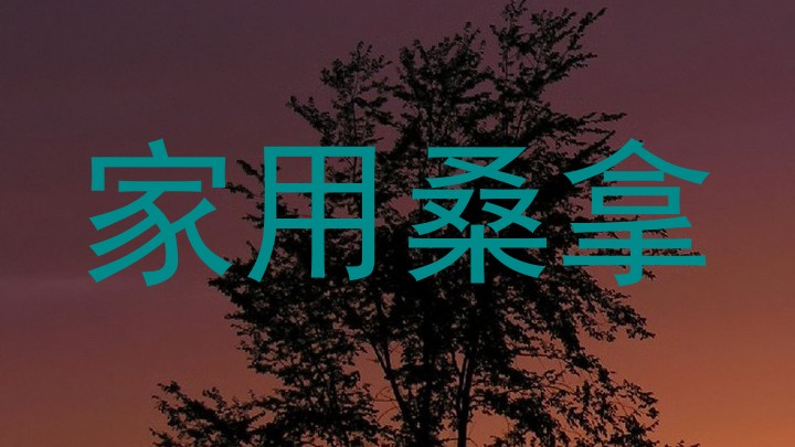 家用桑拿