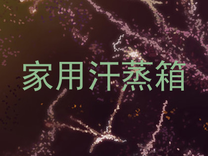 家用汗蒸箱