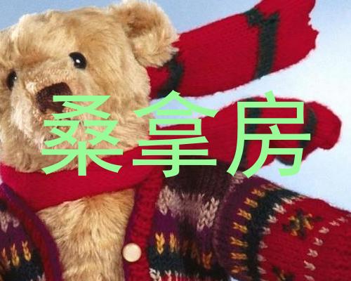 桑拿房