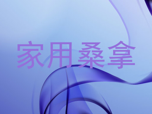 家用桑拿