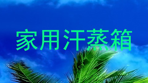 家用汗蒸箱