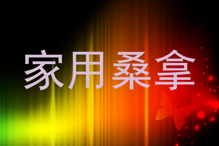 家用桑拿