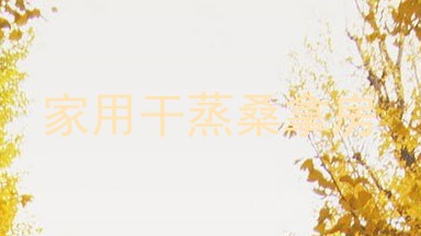 家用干蒸桑拿房
