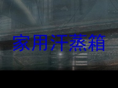 家用汗蒸箱
