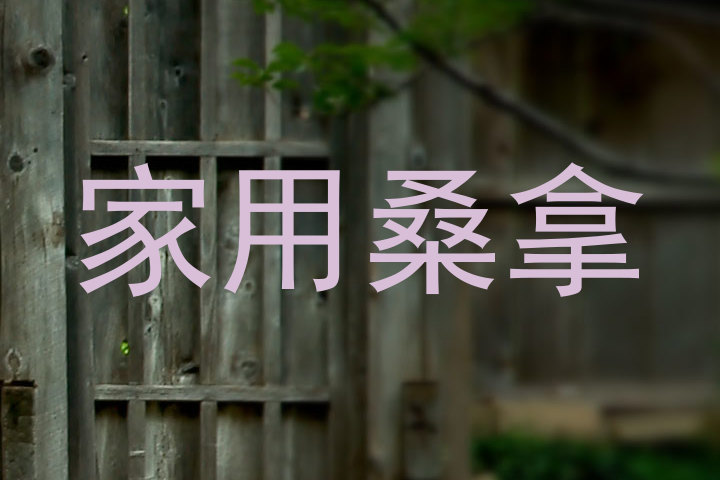 家用桑拿