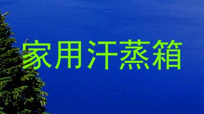 家用汗蒸箱