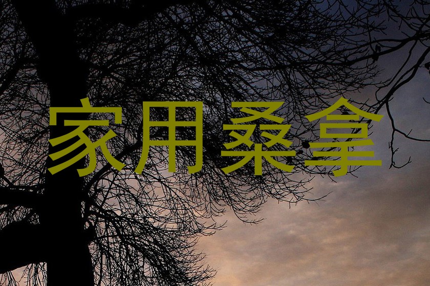 家用桑拿