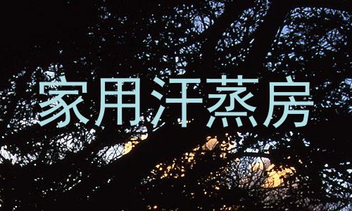 家用汗蒸房