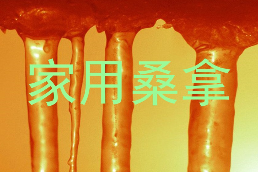 家用桑拿